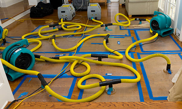 Professional Water Damage Repair technician working in Adena, OH